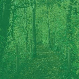 安静的工作声音