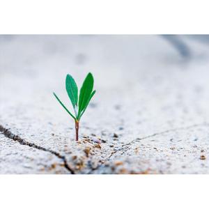 그랬으면 좋았을텐데