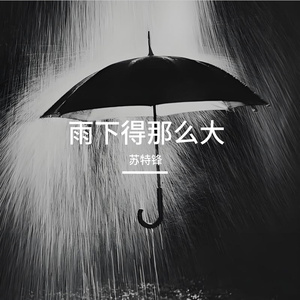 雨下得那么大