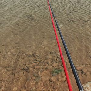 《被夜色吞没的随波逐流》温暖的抹茶冰淇淋-悲伤-民谣 (1)