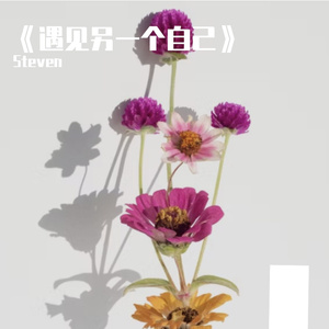 《遇见另一个自己》