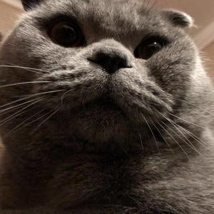 同样（翻自 Lambert）