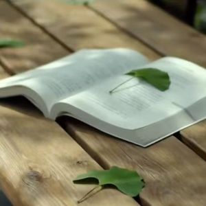 早安，老师！(Prod by Ray x Layz x Aton)