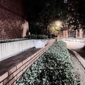 Ayrilix Minutliri(伴奏)