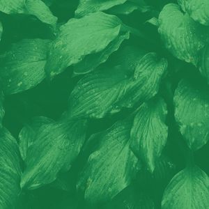 柔和的矿物浴时刻