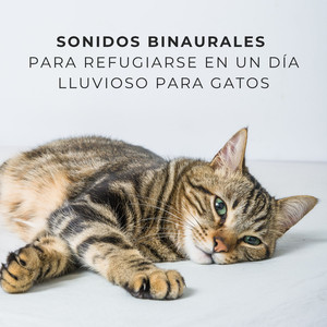 Patitas Juguetonas Bajo La Lluvia