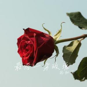 最后一朵玫瑰