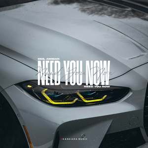 Need You Now