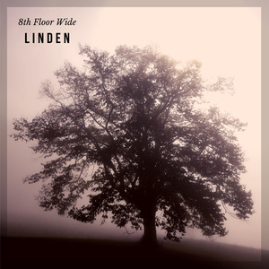 Linden