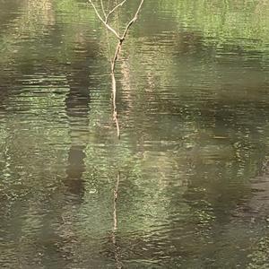 ਧੱਕੋ, ਮਦਰਫ਼ਕਰੋ