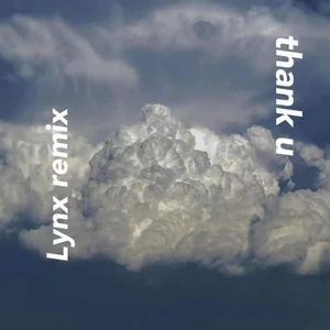 Thank you(Lynx remix)