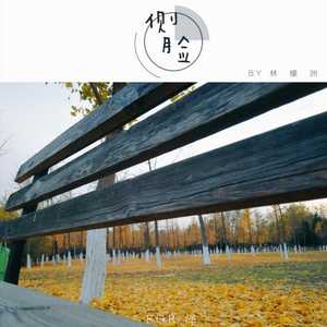 侧脸（少年音）