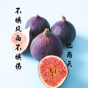 不惧风雨不惧伤
