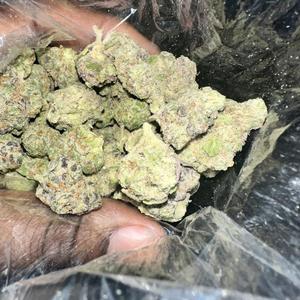 Opp Pack!