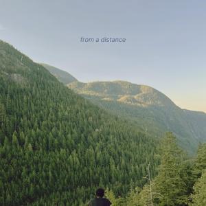 From A Distance