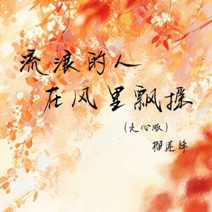 流浪的人在风里飘摇(走心版)