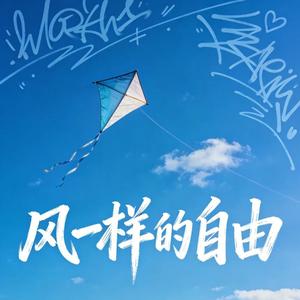 风一样的自由 演