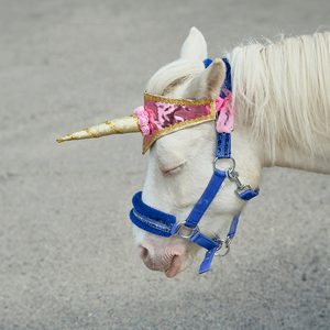 Никто не любит быть один