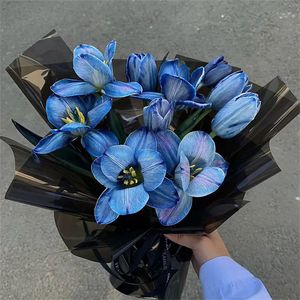 他不懂(抖音版)