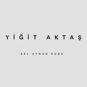 Kel Aynak Kuşu