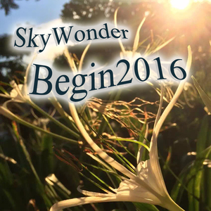 begin2016-1