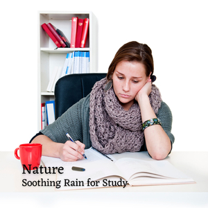 Relaxing Falling Rain Rhythm