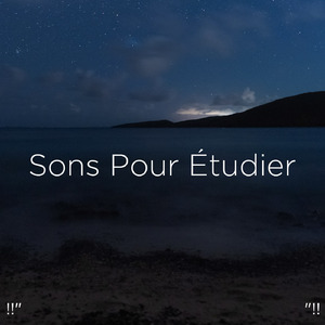 Klang des Ozeans zum Studieren