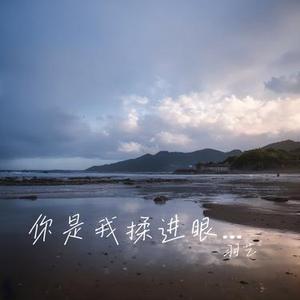 你是揉进我眼里的沙