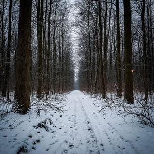 your cold hands (slowed)