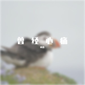 曾经心痛