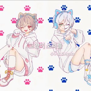 学猫叫（韩语版）