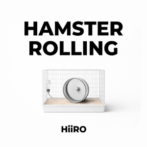 ハムスターローリング