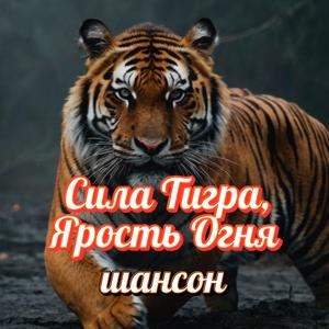 Сила Тигра, Ярость Огня - в жанре русского шансона!
