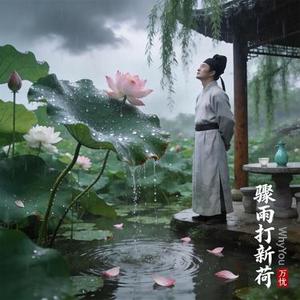 骤雨打新荷