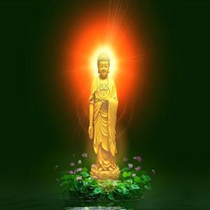 南无阿弥陀佛圣号（现场版）