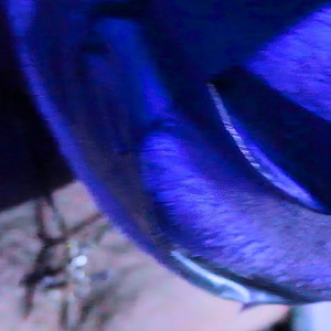 En Tu Cuarto (Otra Vez)