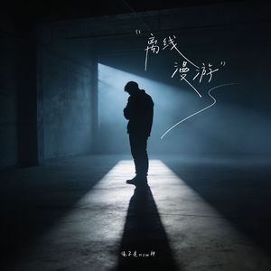 离线漫游