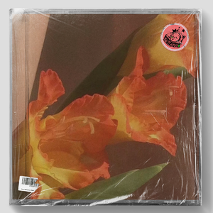 呢喃（Lofi Type Beat）