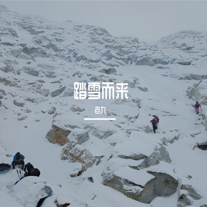 踏雪而来