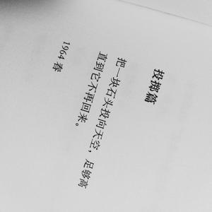 表面的和平