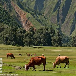 《爵士琴音里的咖啡馆高效时光》