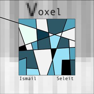 Voxel