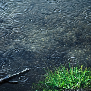 Calm Rainfall Harmony