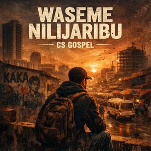 Waseme Nilijaribu