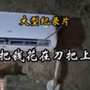 大型纪录片《把钱花在刀把上》