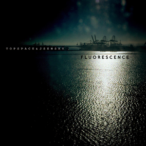 荧光 Fluorescence （海序）