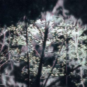 Нотная Скрижаль