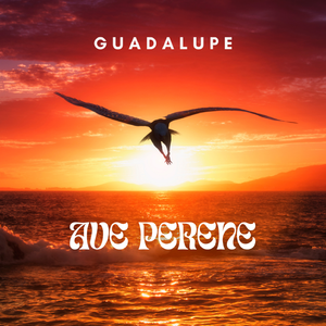 Ave Perene