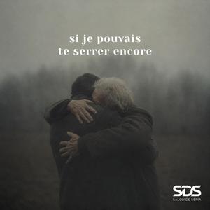 Ses mains