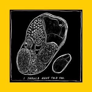 I Should Have Told You